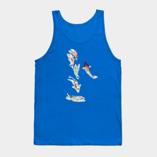 Koi fish Tank Top